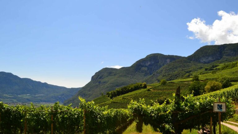 Haderburg, il ritorno alla natura con la biodinamica