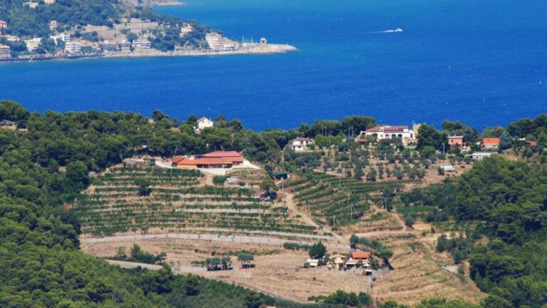 Stefano Albenga racconta: Corsica, Panda e vini Rosati