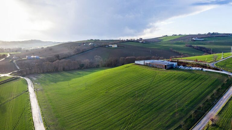 Mancini Pastificio Agricolo, dal cuore di grano delle Marche