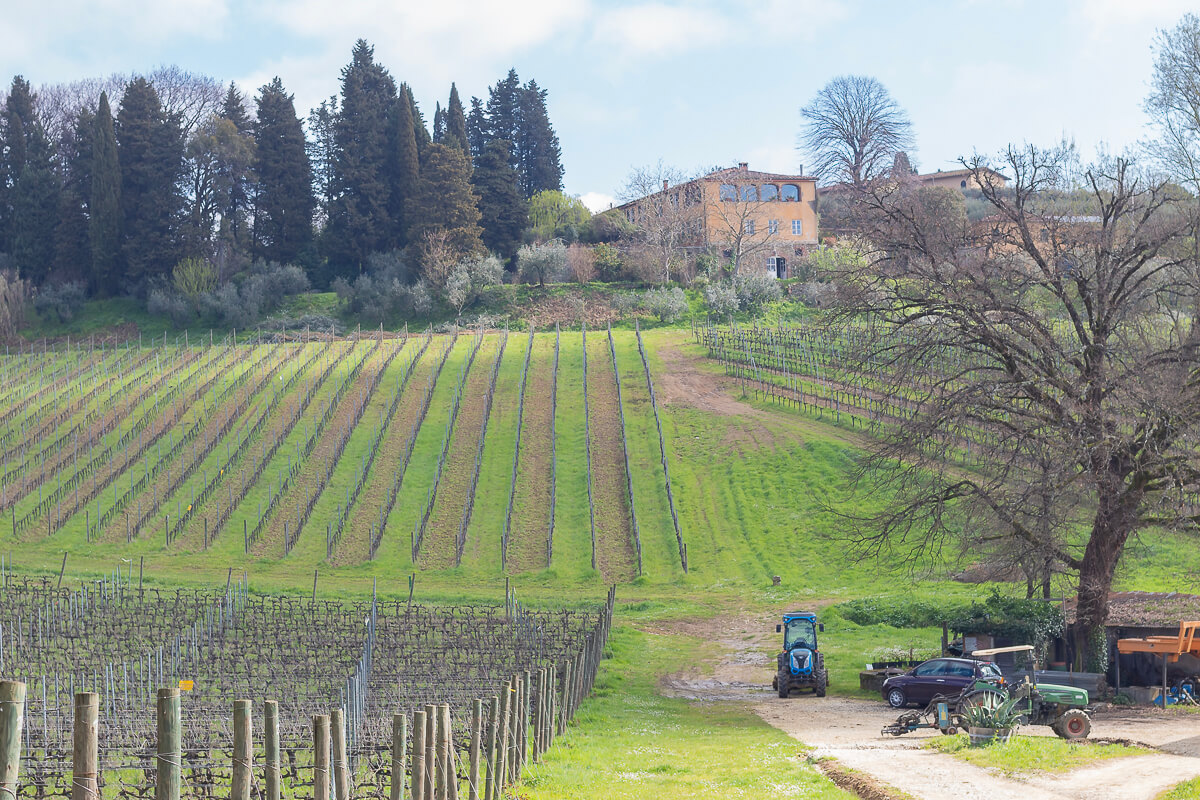 tenuta lenzini